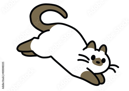 Cute red cat on a white background