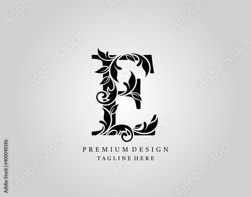 Classic Initial E Letter logo design, elegant floral ornate monogram design vector.