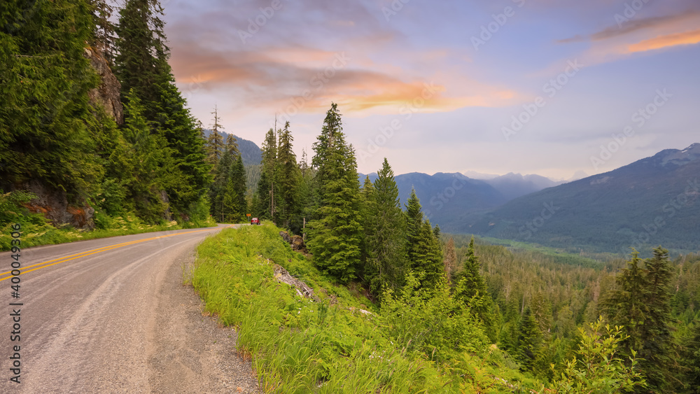 Scenic landscape of Coniferous forest in Washington state under evening sky.
