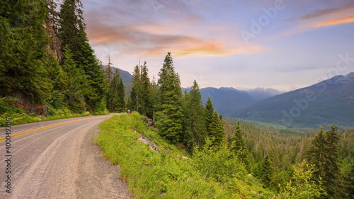 Scenic landscape of Coniferous forest in Washington state under evening sky.
 photo