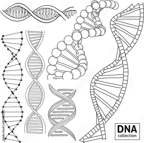 Set on the theme of science and chemistry. The DNA structure is hand-drawn in various styles. Black and white vector illustration in the sketch style.