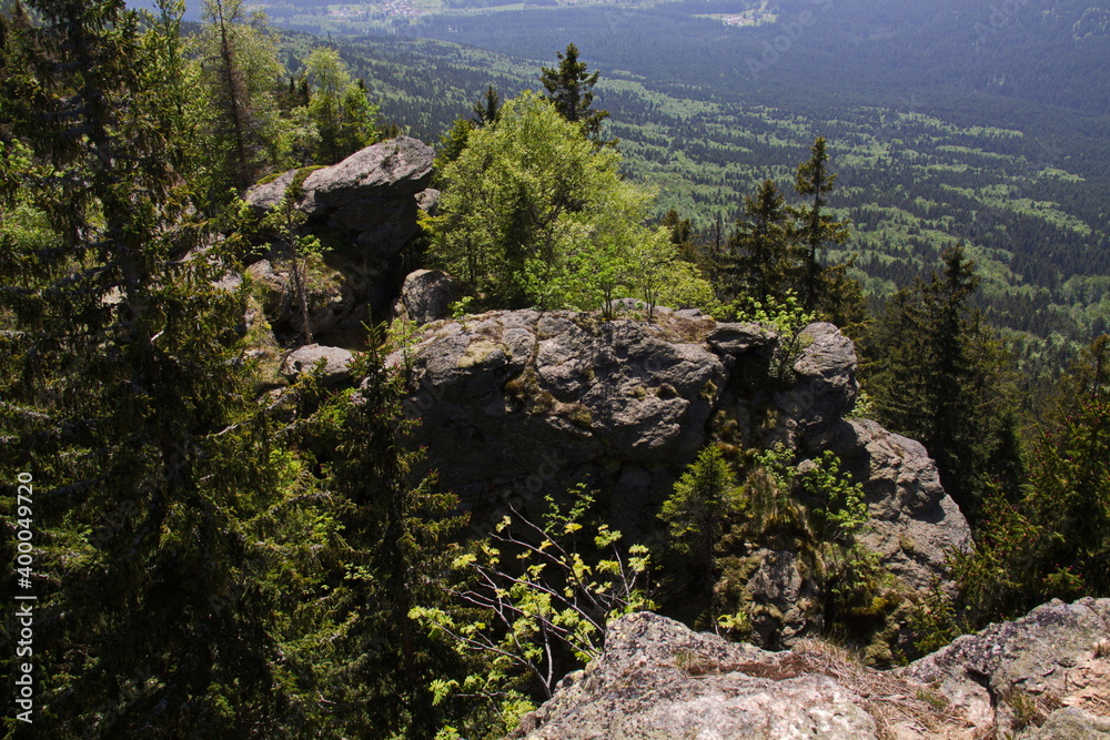 View from Grosser Falkenstein in Bavarian Forest National Park in Bavaria, Germany, Europe
View from Grosser Falkenstein in Bavarian Forest National Park in Bavaria, Germany, Europe