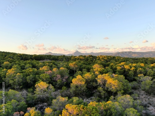 Vistas de un bosque de Mallorca con arboles, montañas al fondo, cielo azul y nubes.
