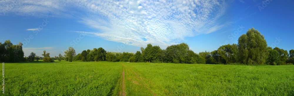 Landscape of a meadow around the river Odra, Czech Republic. Lush green spring meadow. Landscape of a meadow around the river Odra, Czech Republic. Lush green spring meadow.