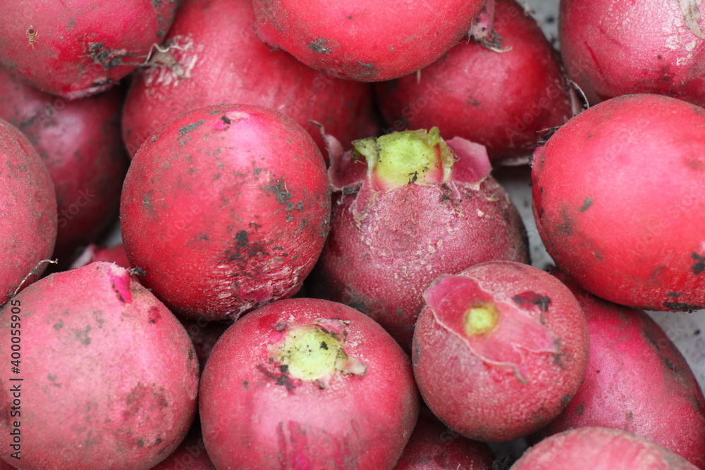 close up of a radish