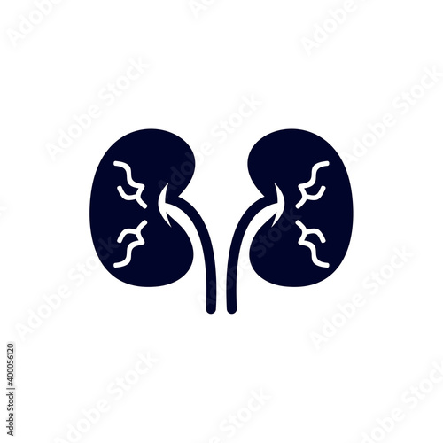 Kidney logo design vector template, Organs logo design concept, Icon symbol