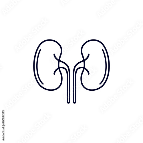 Kidney logo design vector template, Organs logo design concept, Icon symbol