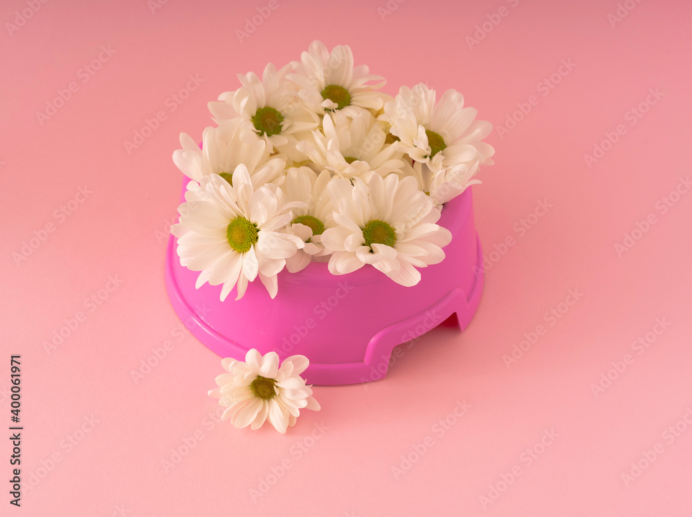 Pink Dog food bawl filed with white flowers. Pet equipment isolated on Pink background. 