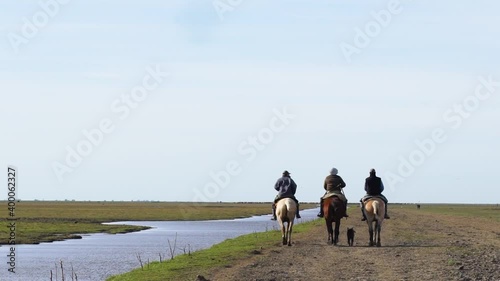 Cowboys on horseback down the dirt road, with their dogs, along the stream with their dogs by their side.
