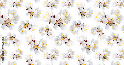 Pattern of white apricot flowers.