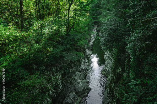 Canyon  mountain river flows between the White Rocks  subtropical forest landscape. Yew-boxwood grove  Sochi National Park