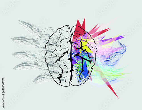 brain 