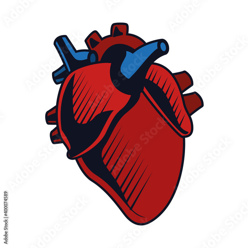 heart human organ isolated icon