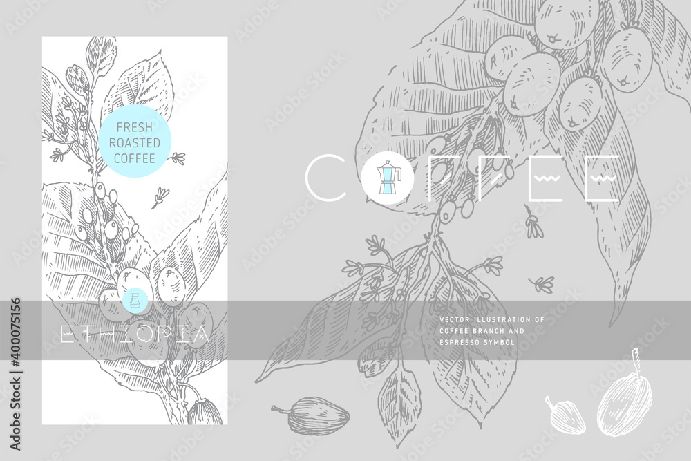 Obraz premium Template Coffee packaging design with coffee branch illustration in engraving style. Specialty coffee label tag. Vintage banner for fresh coffee roasted. Natural caffeine symbol. Cafe logo template.