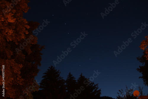 autumn trees at night