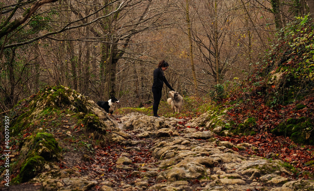 woman walking in the mountains with her dogs woman walking in the mountains with her dogs