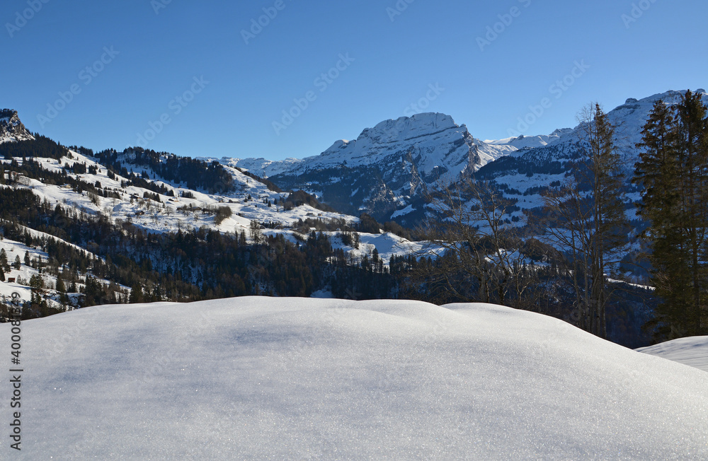 Blick vom winterlichen Vorder Oberberg ob Illgau auf den Wasserberg (2340m), Muotatal, Kanton Schwyz