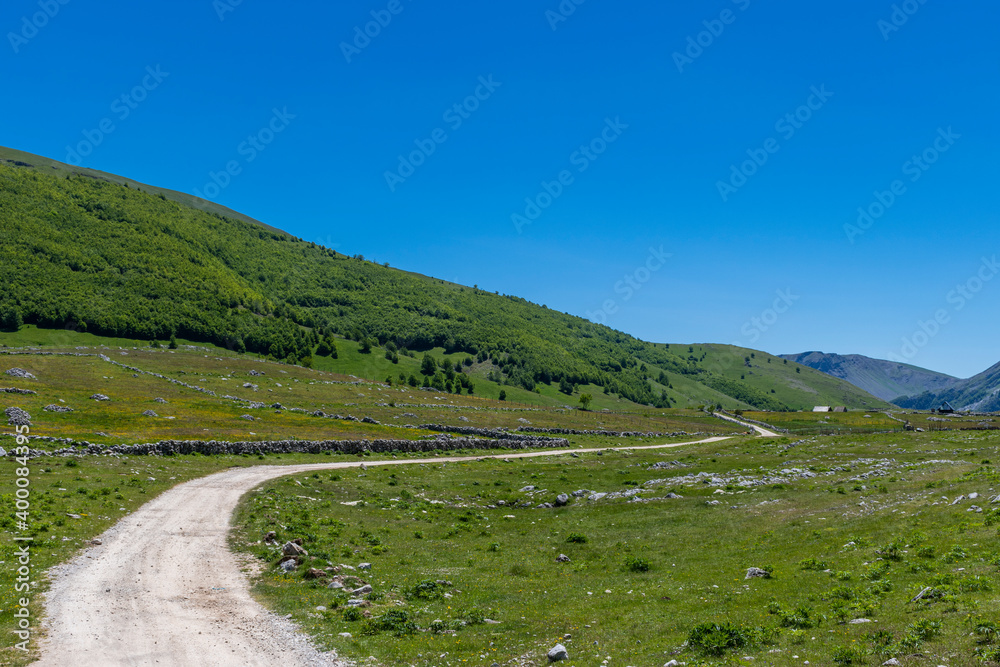 Obraz premium landscape with road and mountains