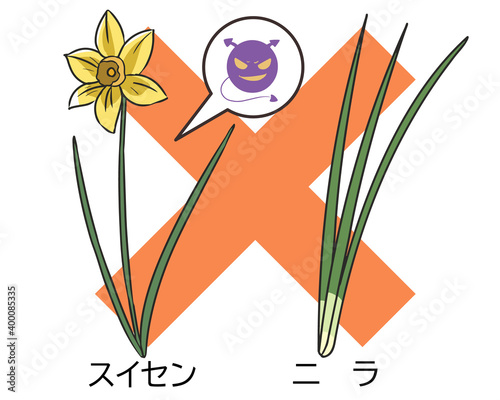 ニラとスイセン　食用禁止　文字付