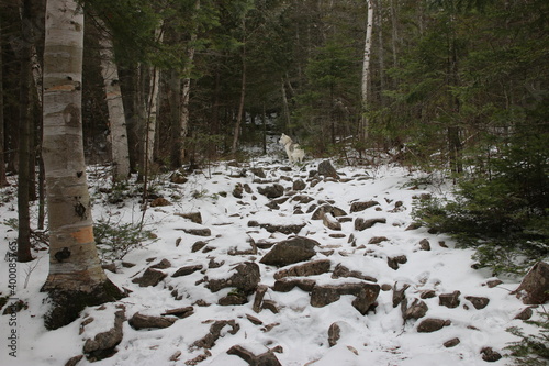 winter hiking in bruce peninsula