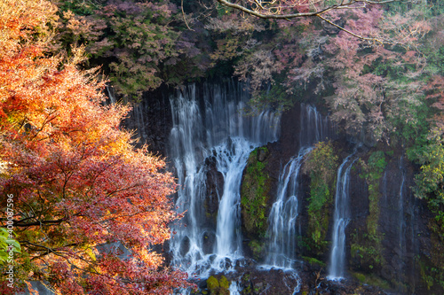 静岡 白糸ノ滝と紅葉