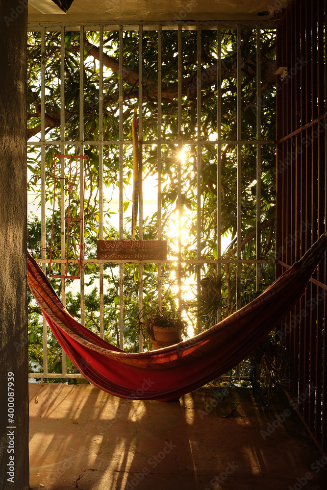 Tropical hammock 