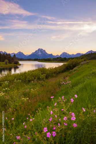 Wildflowers along a small hill at Oxbow Bend in Grand Teton National Park in Wyoming