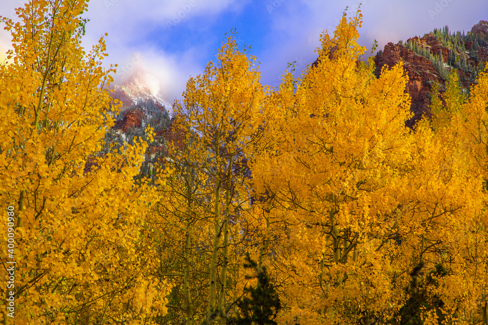 Maroon Bells–Snowmass Wilderness of White River National Forest in autumn