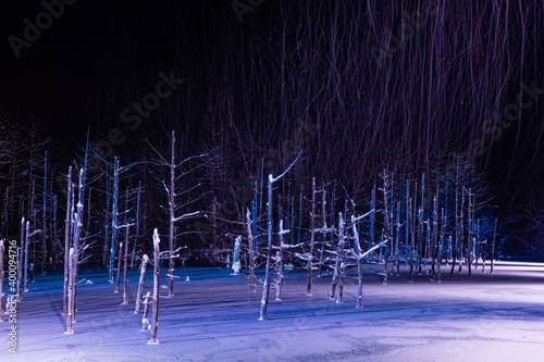 ライトアップされた雪に覆われた夜の湖 美瑛町 