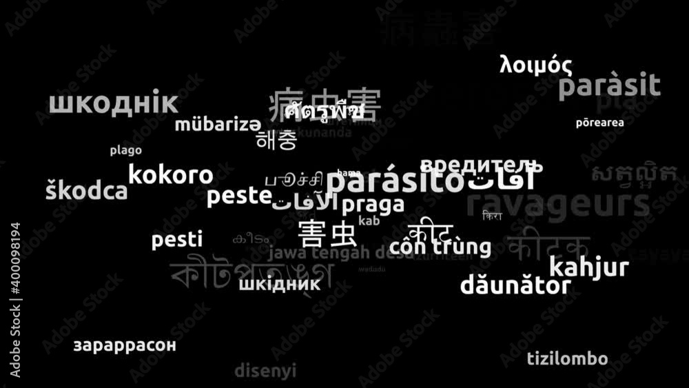 Pest Translated in 60 Worldwide Languages Endless Looping 3d Zooming Wordcloud Mask Pest Translated in 60 Worldwide Languages Endless Looping 3d Zooming Wordcloud Mask