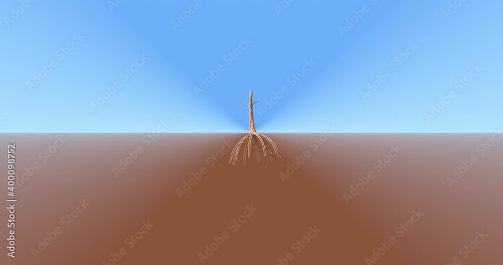 Tree growing while revealing underground roots growth process. Tree ...