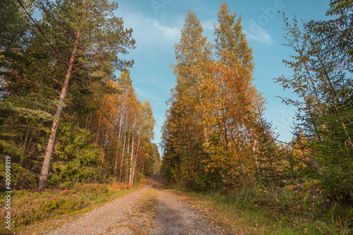 Country road  at the edges of the autumn forest. Sunny day in September. Scandinavian nature