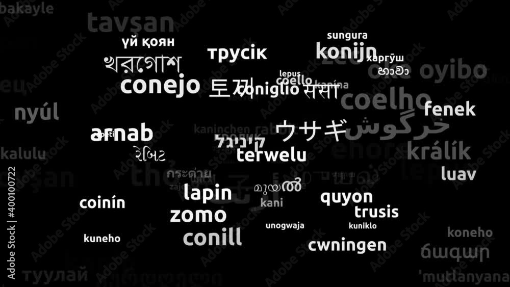 Rabbit Translated in 78 Worldwide Languages Endless Looping 3d Zooming Wordcloud Mask