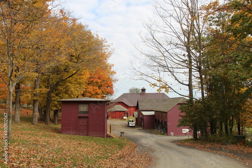 Autumn trees and houses in the quaint country side.