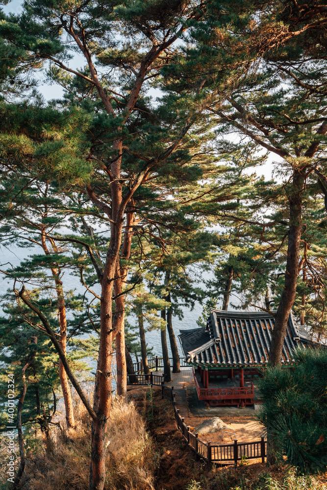Jukdojeong Korean traditional pavilion with green forest in Yangyang, Korea