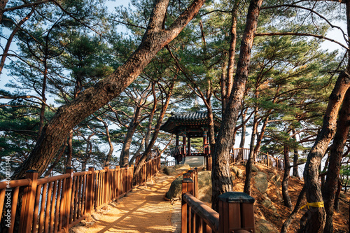 Hajodae Korean traditional pavilion with green forest in Yangyang, Korea