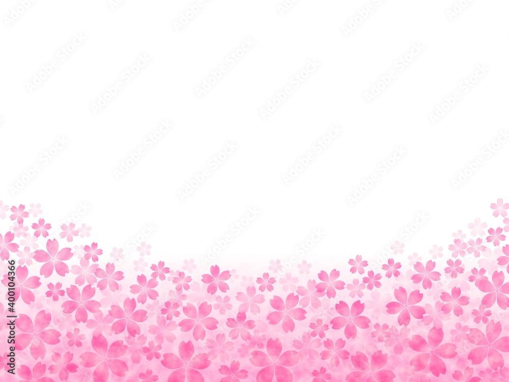 画面下に咲き広がる桜の背景イラスト no.02