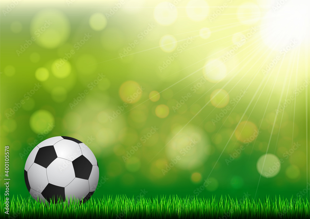 Ball on grass with green nature bokeh background.