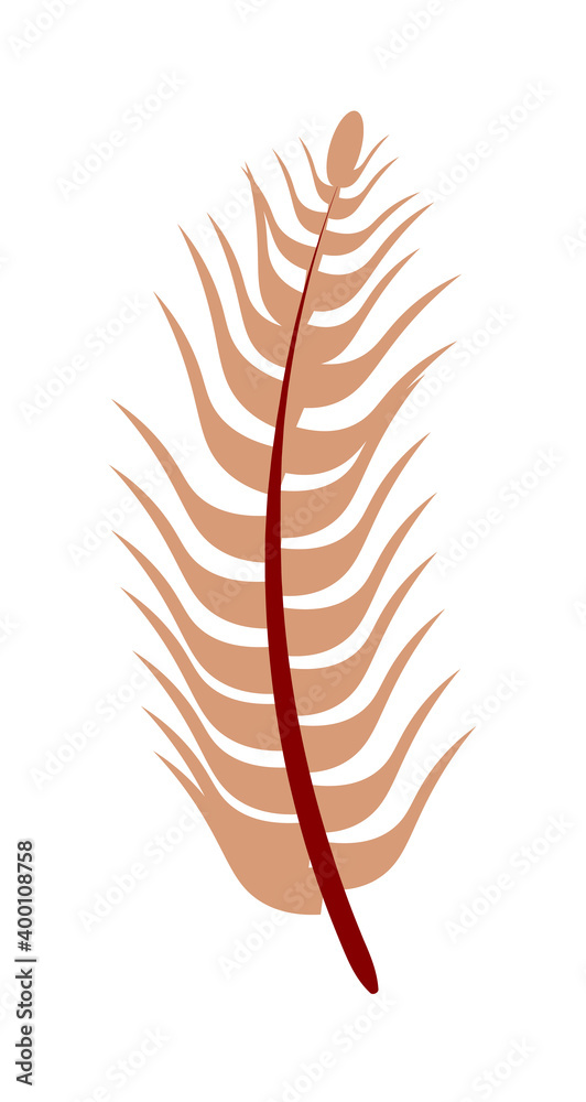 Single fluffy feather falling hovering upright on white Single fluffy feather falling hovering upright on white