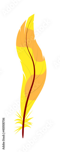 Beautiful feather for writing isolated on white background