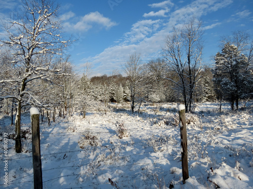 Fototapeta Naklejka Na Ścianę i Meble -  Snow Field