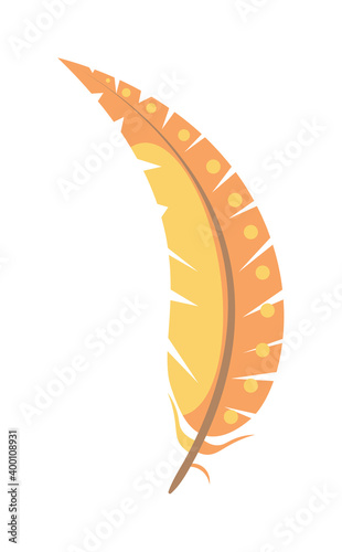 Colorful cartoon feather symbol isolated on white background