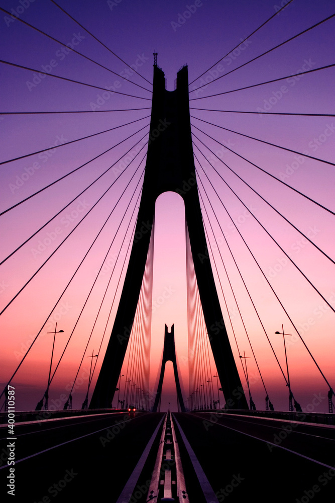 Obraz premium Bridge and Cables