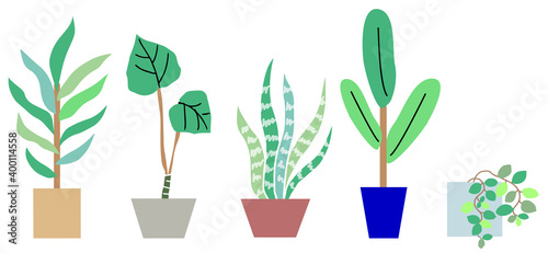 観葉植物のシンプルフラットイラストセット