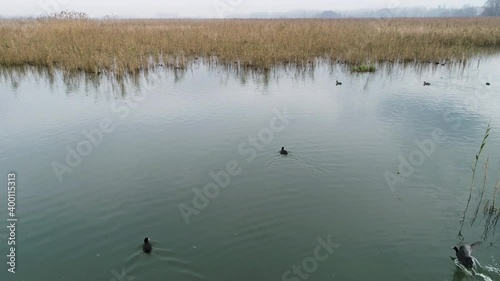 Aerial view of Efteni Lake at Duzce in Turkey photo