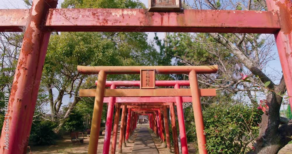鳥居。香川県観音寺市花稲稲荷。Torii in Hanaina Inari in Kanonji, Kagawa, Japan 鳥居。香川県観音寺市花稲稲荷。Torii in Hanaina Inari in Kanonji, Kagawa, Japan