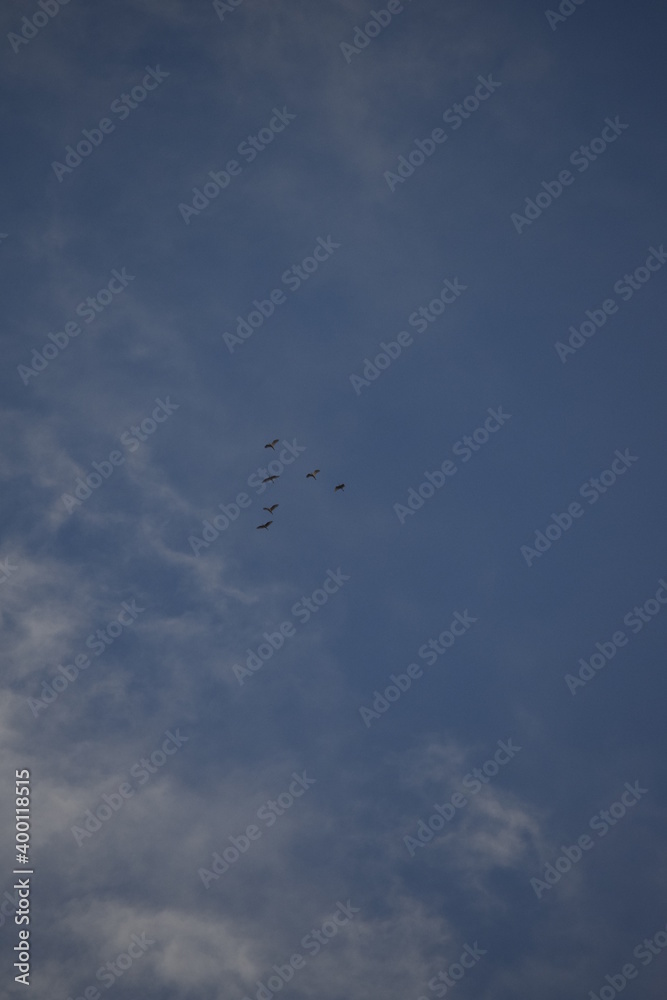 Natural cloudy/rainy sky