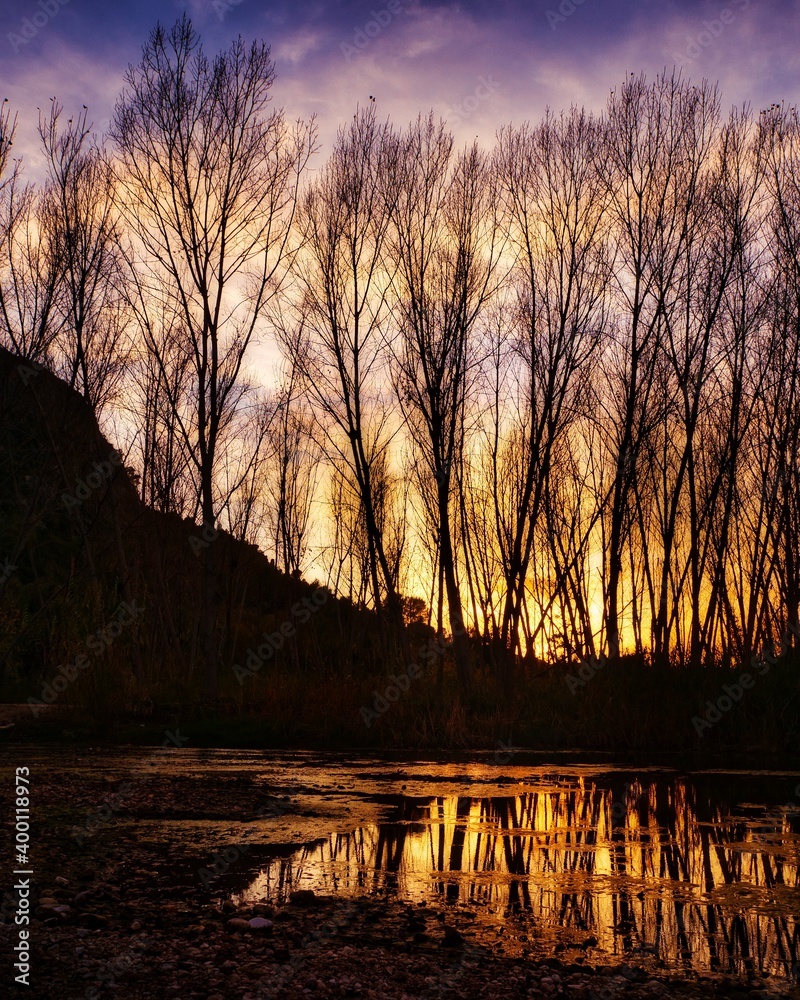 Naklejka premium atardecer en el rio