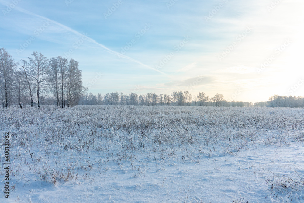 Snow covered winter field with trees. Winter landscape. Beautiful winter nature. Snow covered winter field with trees. Winter landscape. Beautiful winter nature.