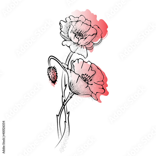 Poppy flowers are only hand-drawn lines and a flower spot.